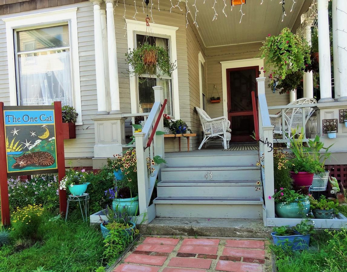 The One Cat Bed and Breakfast Brattleboro Εξωτερικό φωτογραφία