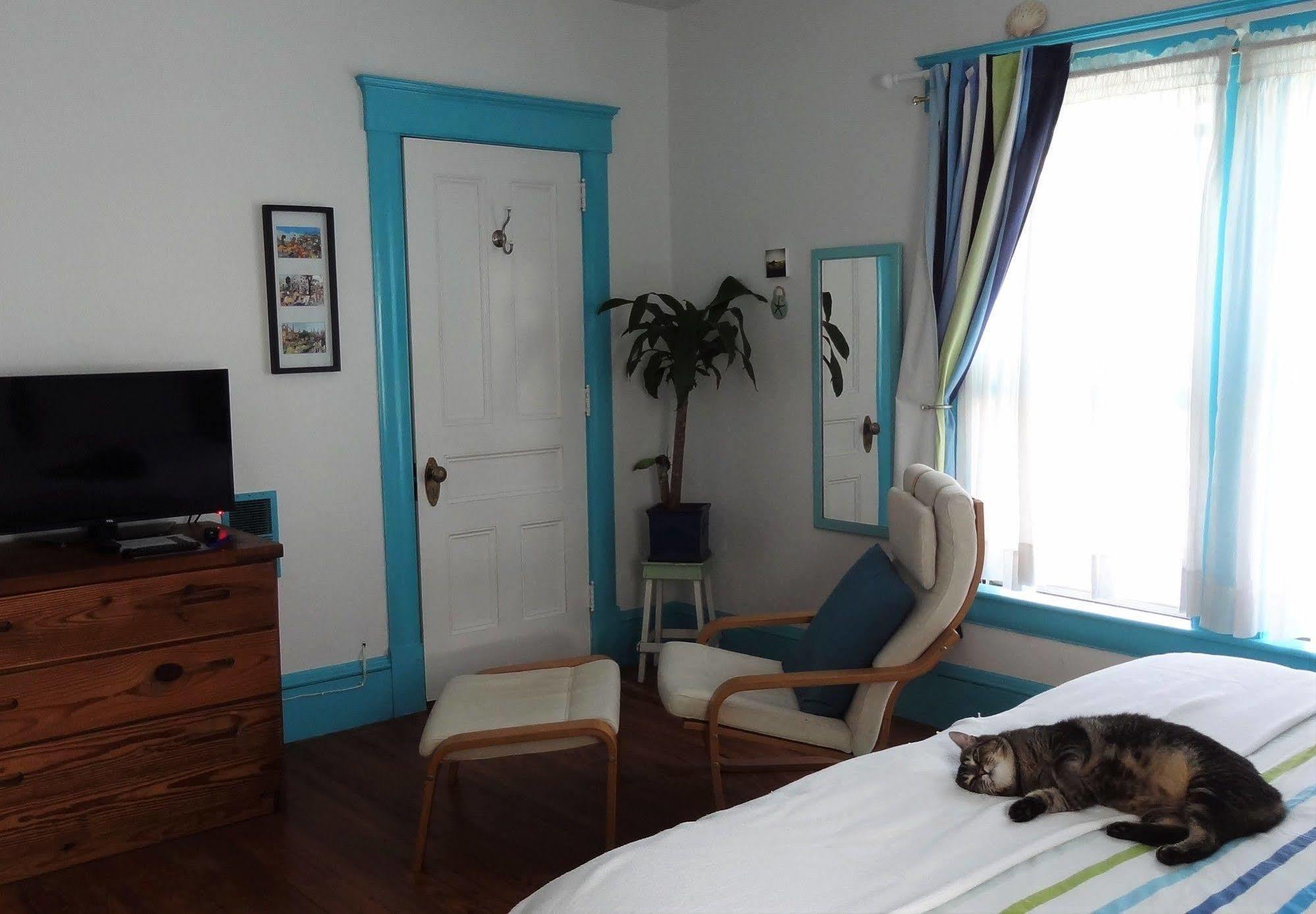 The One Cat Bed and Breakfast Brattleboro Εξωτερικό φωτογραφία