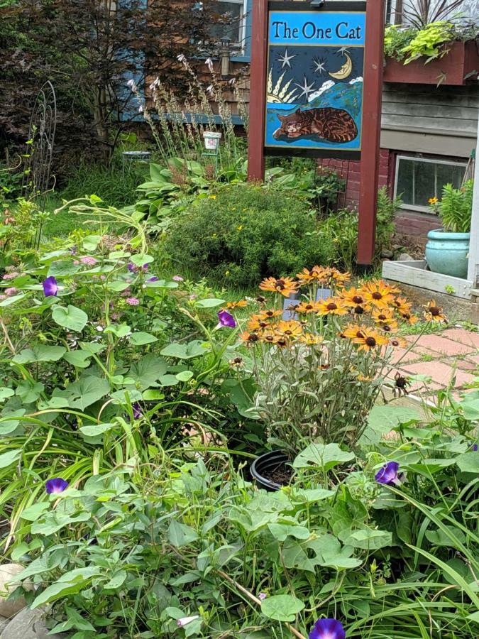 The One Cat Bed and Breakfast Brattleboro Εξωτερικό φωτογραφία